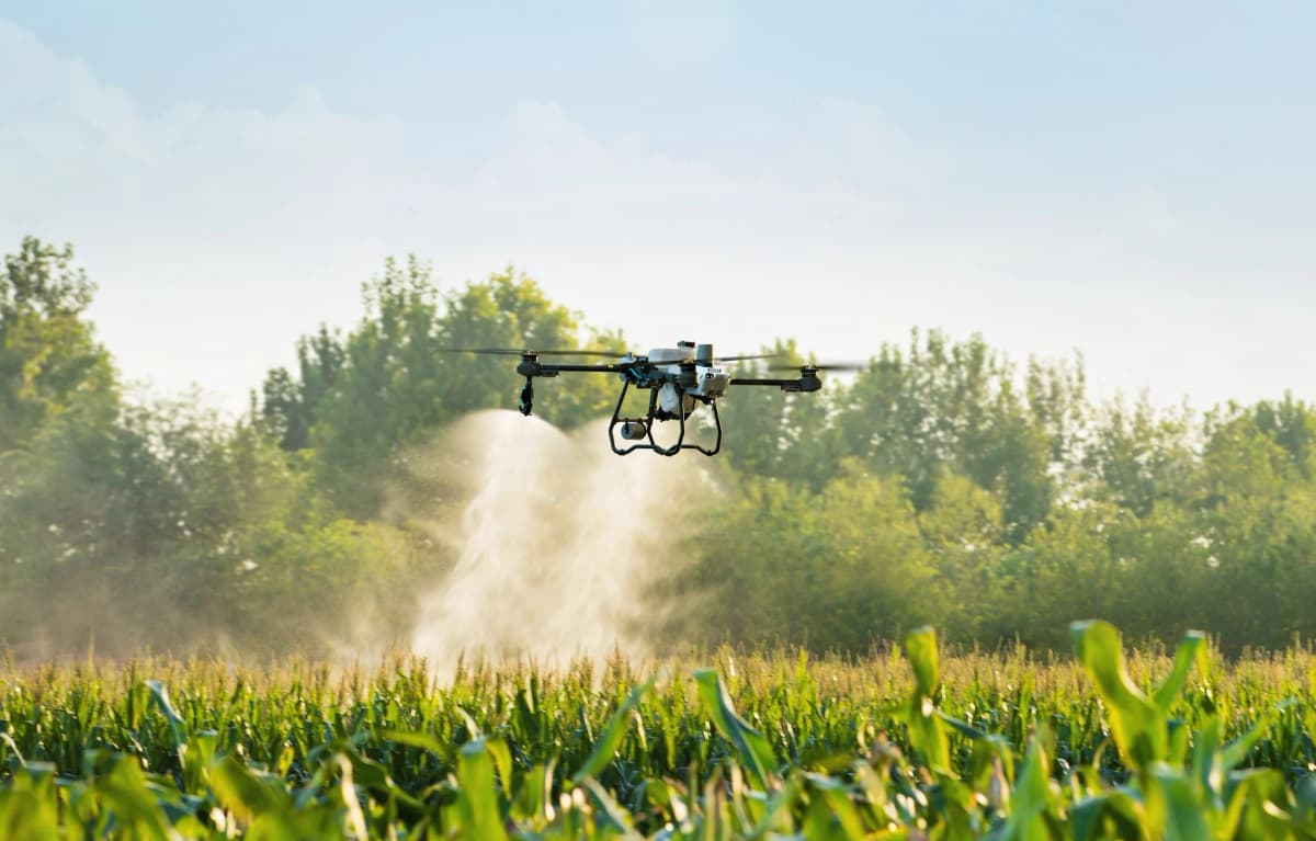Hatay tarımsal drone ilaçlama