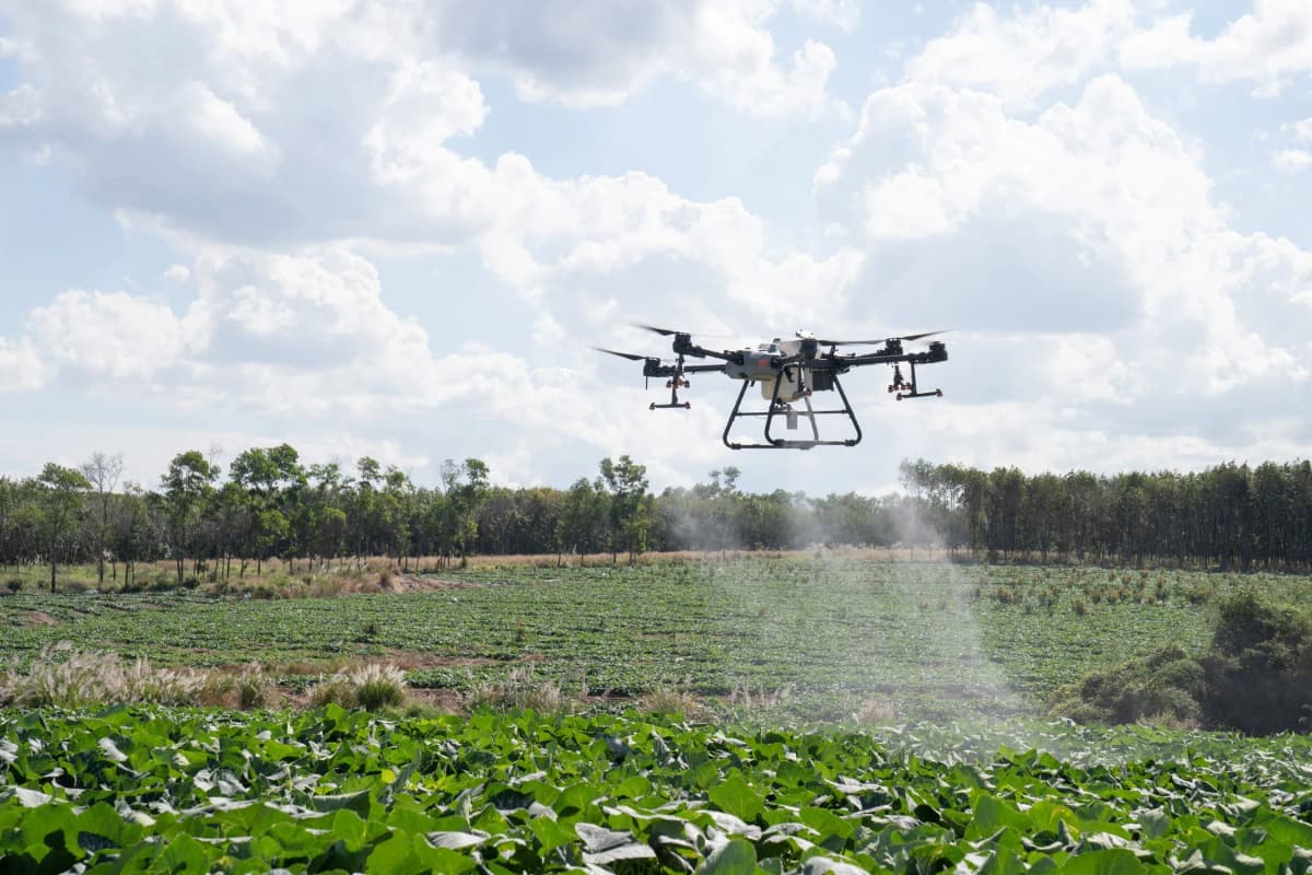 Hatay drone ilaçlama operasyonu